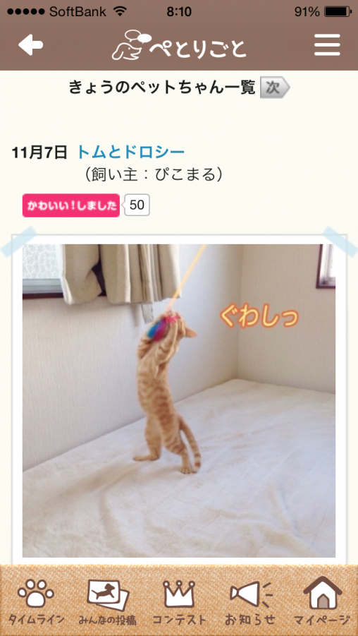 きょうのペットちゃん