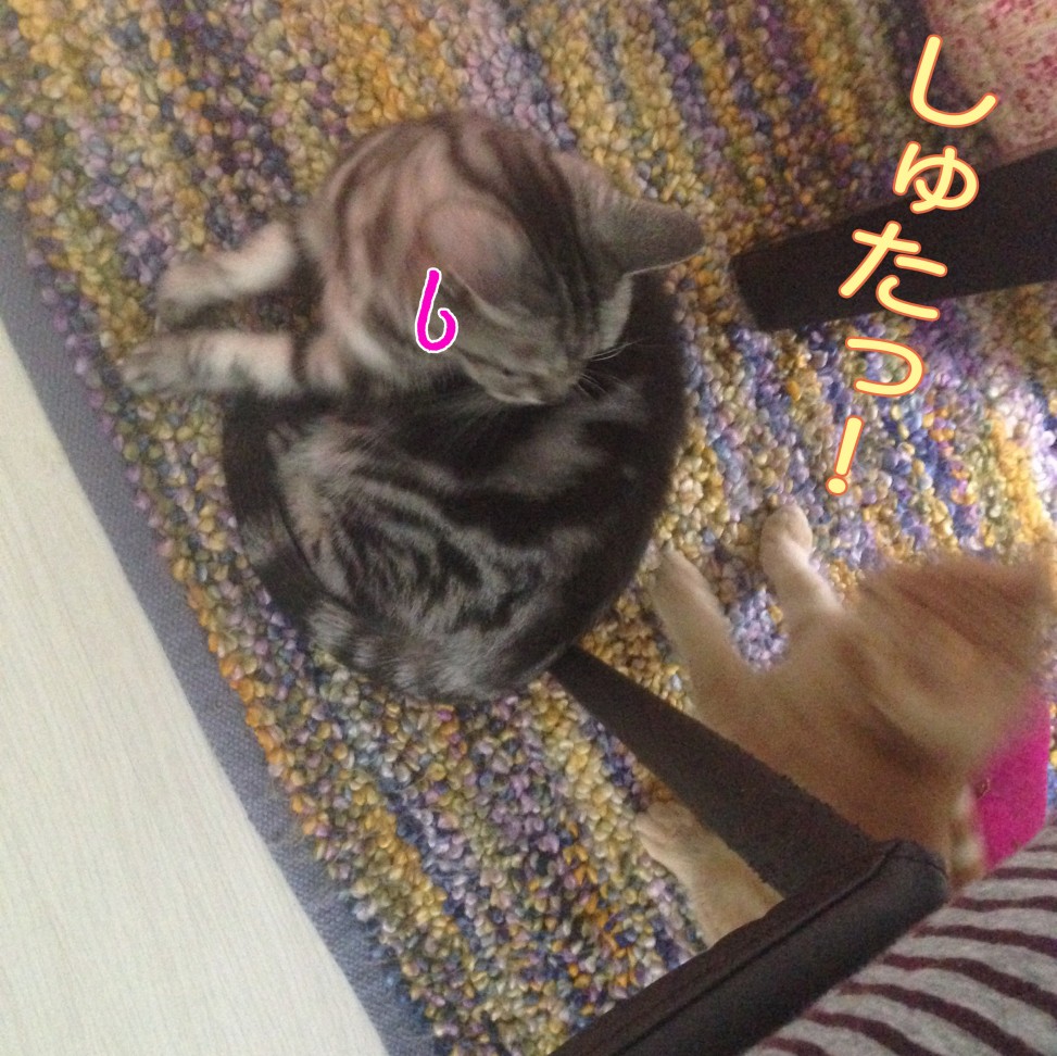 tomdoro_1105-4