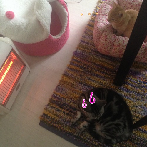 tomdoro_1105-5