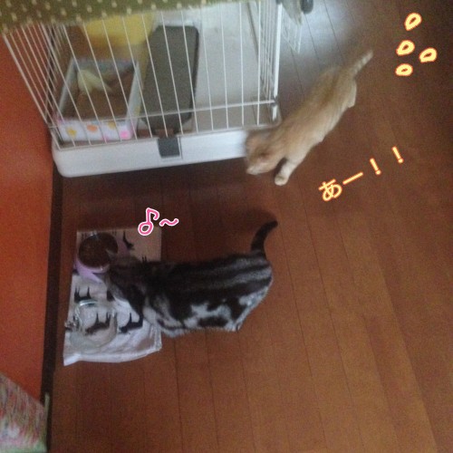 tomdoro_1105-9