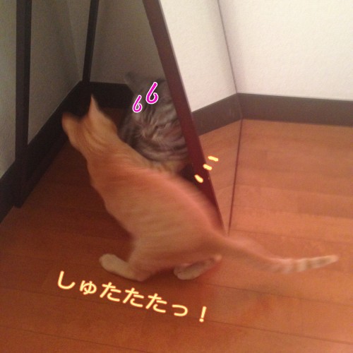 tomdoro_1107-4