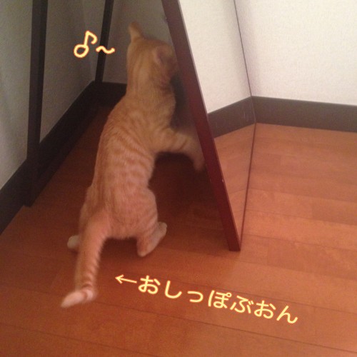 tomdoro_1107-6