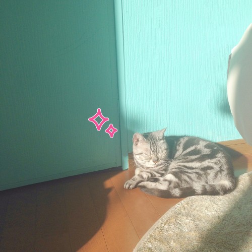 tomdoro_1110-3