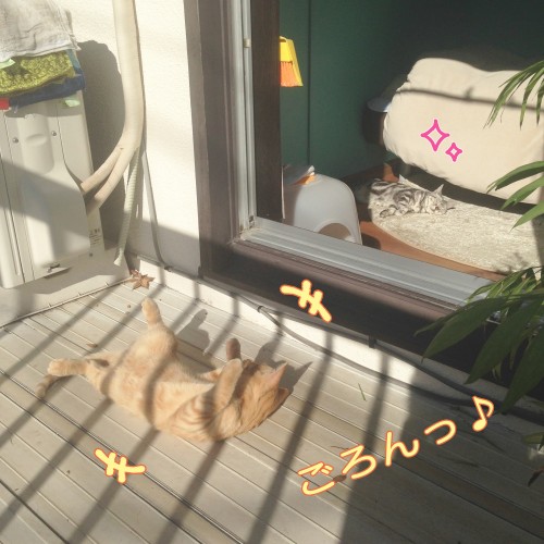 tomdoro_1110-4