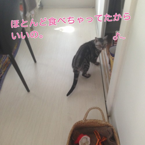 tomdoro_1110-8