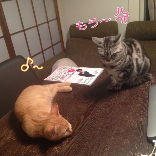 tomdoro_1111-6