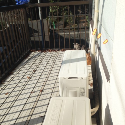 トムドロぼっこ