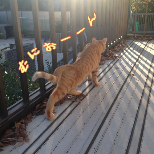 tomdoro_1120-2
