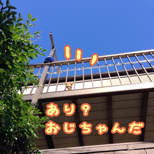 tomdoro_1120-8