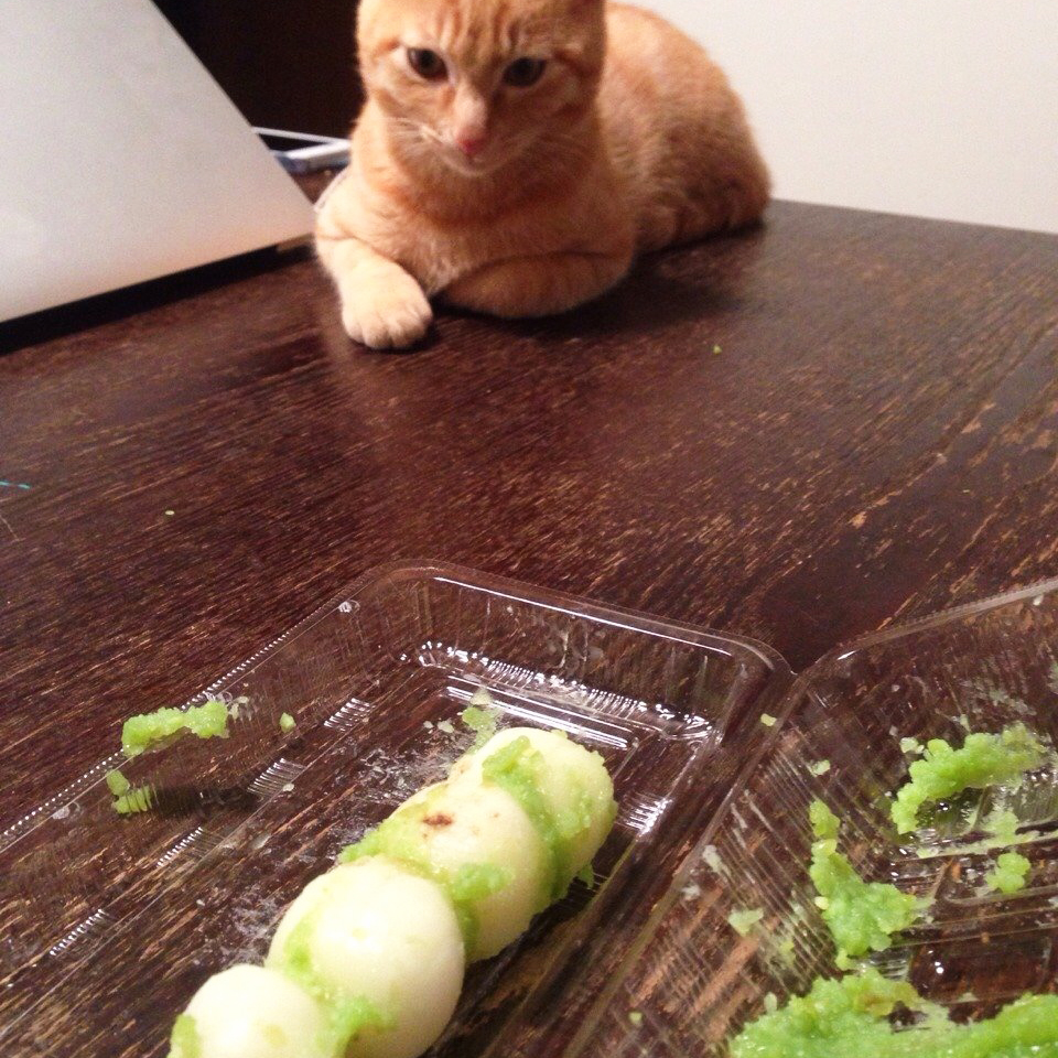 トムドロずんだ