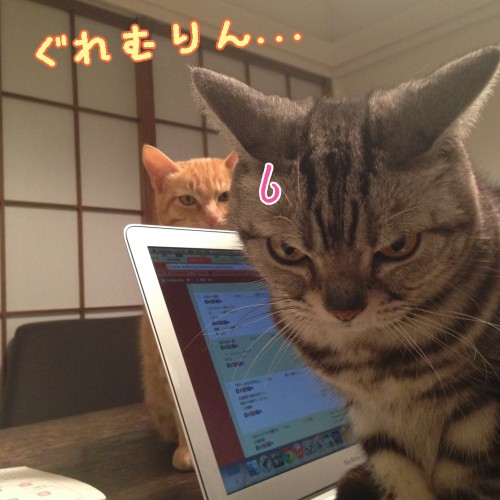 tomdoro_1124-12