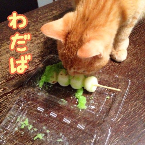 tomdoro_1124-2