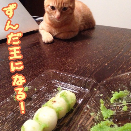 tomdoro_1124-3
