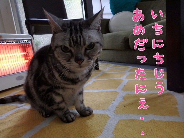 tomdoro_1125-13