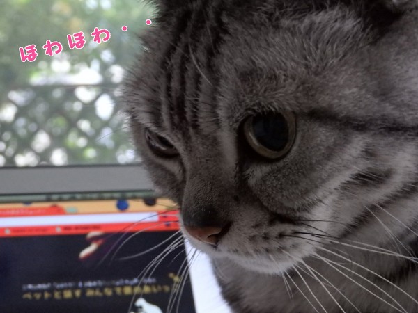 tomdoro_1125-2
