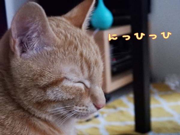トムドロ1125おニューカメラ