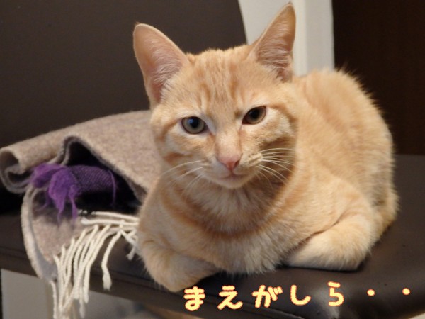 tomdoro_1125-5