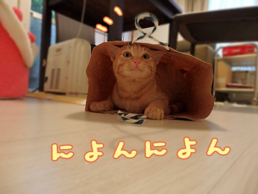 紙袋トム
