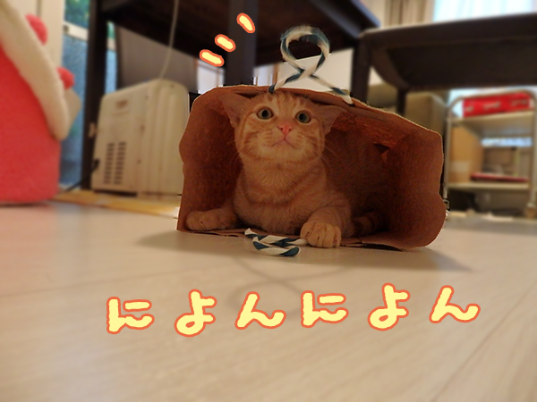 紙袋トム