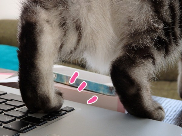 tomdoro_1203-11