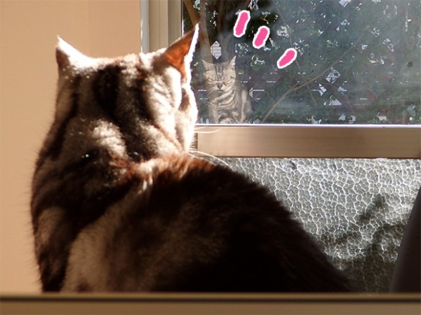 tomdoro_1203-13