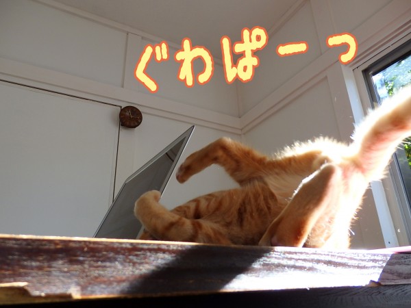tomdoro_1203-5