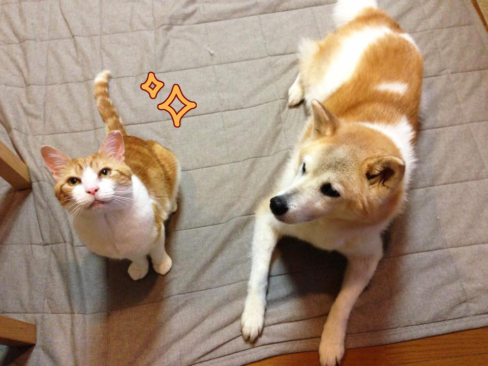 hana&loaf