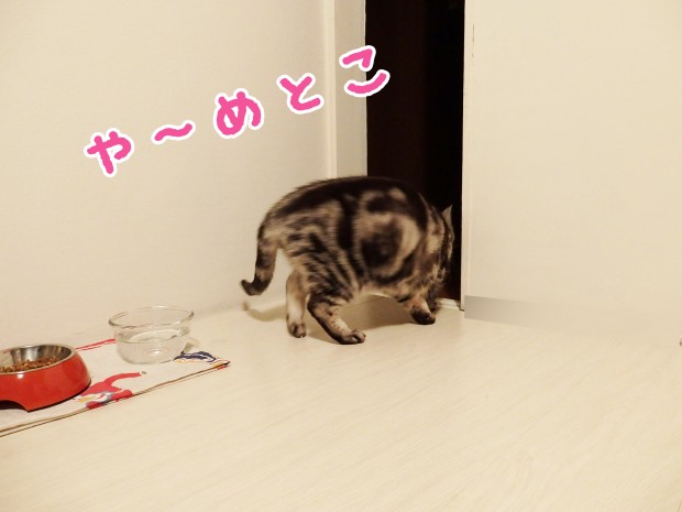 tomdoro_1218-5