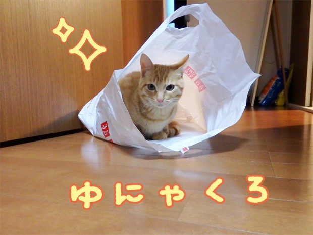 tomdoro_1222-5