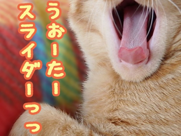 tomdoro_1222-6