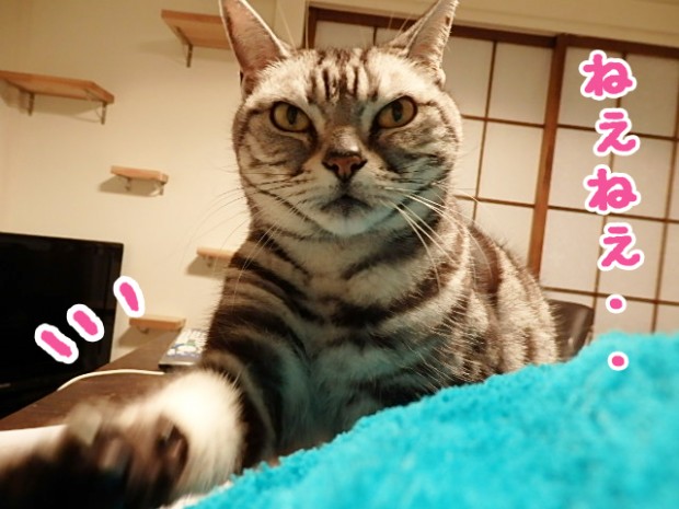 tomdoro_1223-3