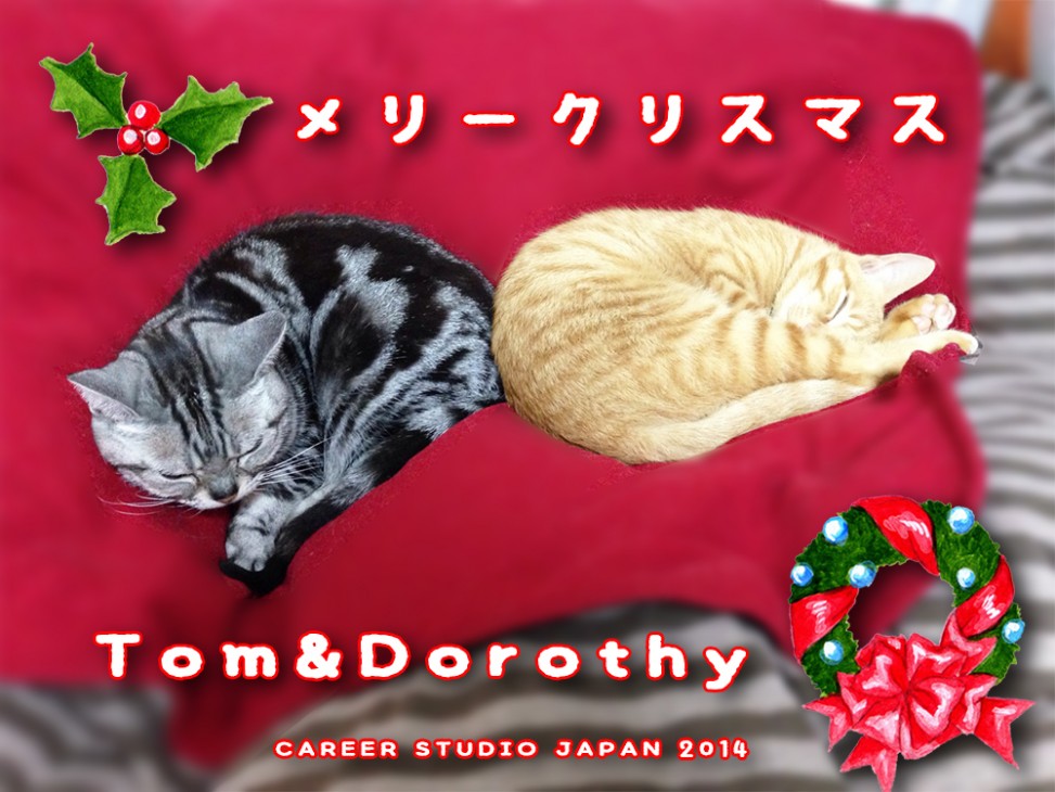 tomdoro_1224-1