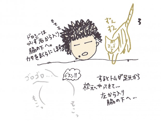 tomdoro_1225-4