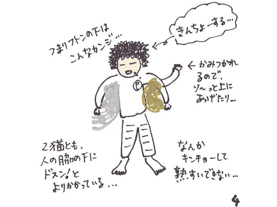 トムドロ　猫ブログ