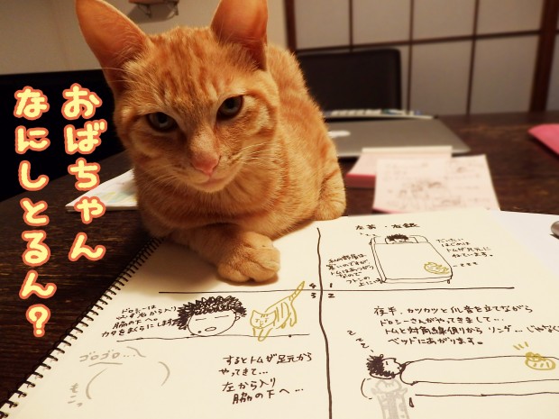 tomdoro_1225-6