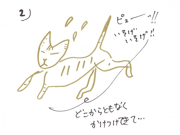 トムドロ　猫ブログ　