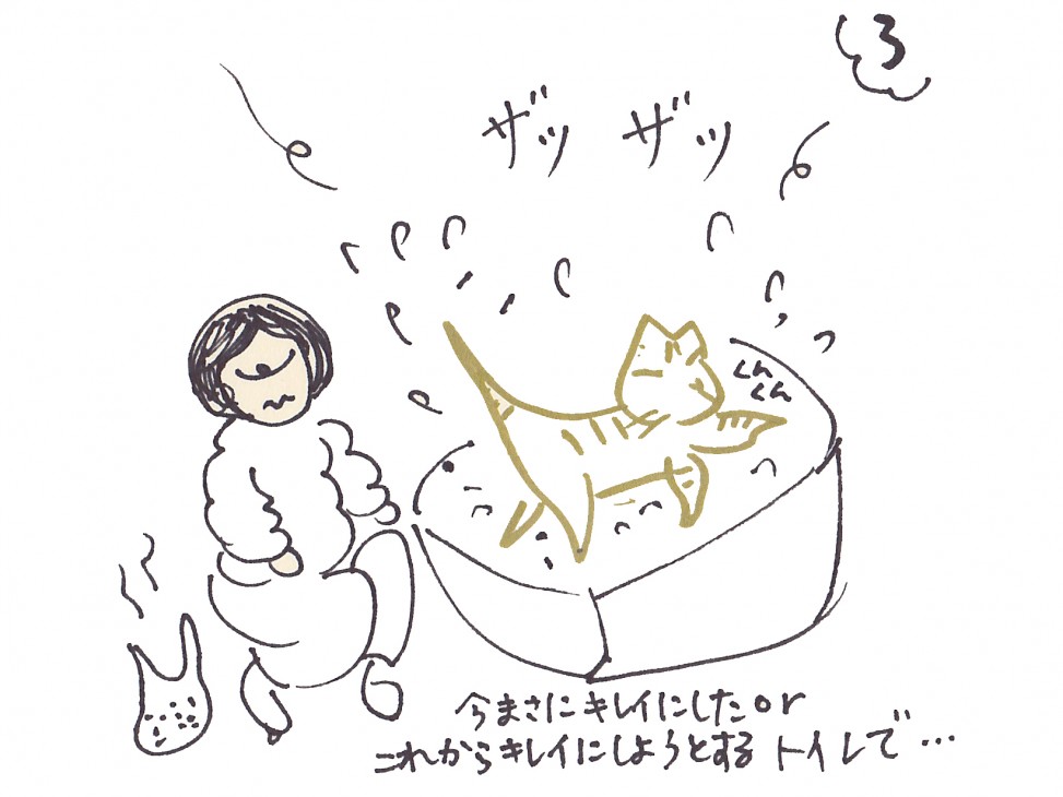 トムドロ　猫ブログ