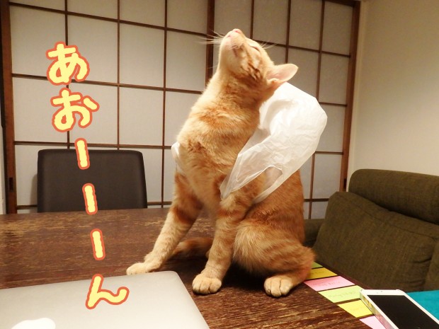 tomdoro_1228-3