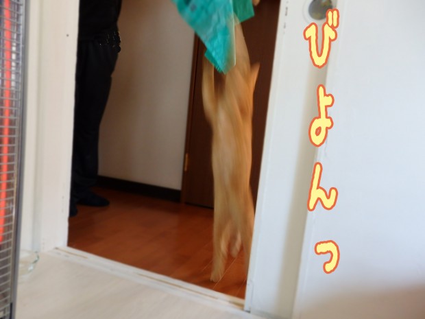 tomdoro_1229-4