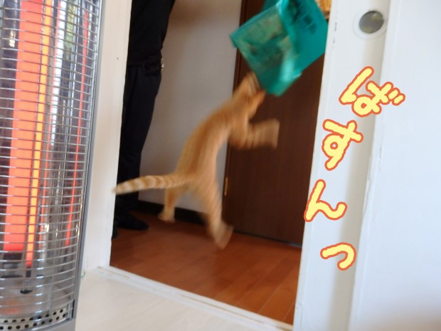 tomdoro_1229-5