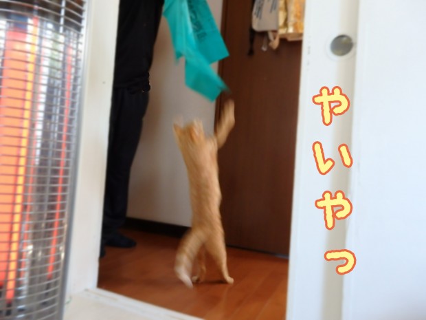 tomdoro_1229-7