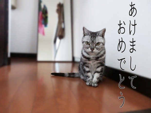 tomdoro_0105-1