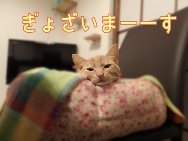 tomdoro_0105-2