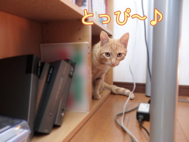 tomdoro_0107-12