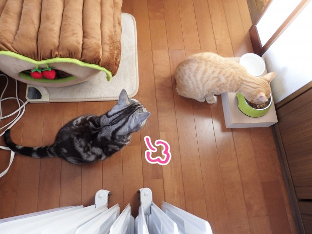 tomdoro_0107-5
