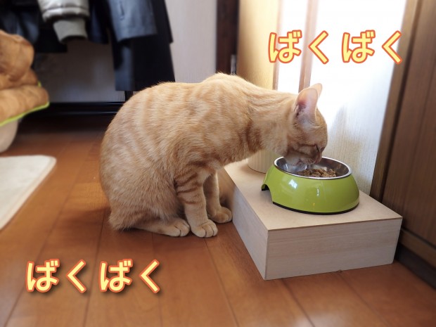 tomdoro_0107-6