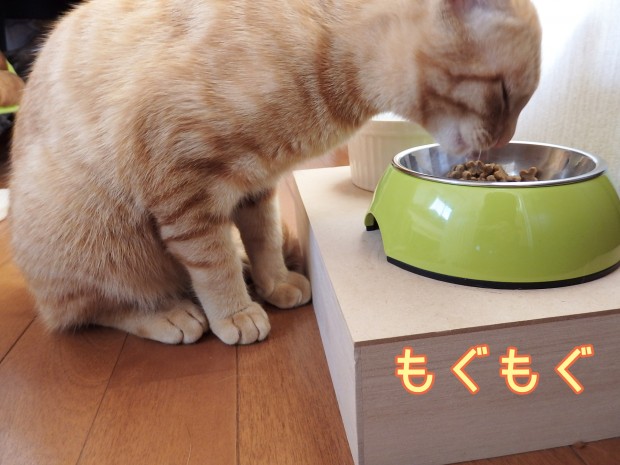 tomdoro_0107-7