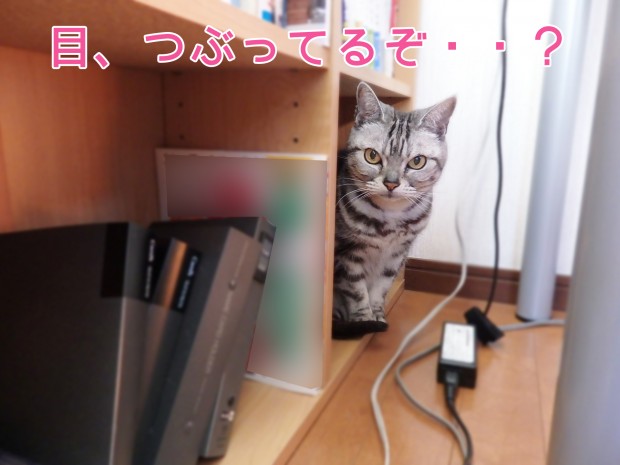 tomdoro_0107-8