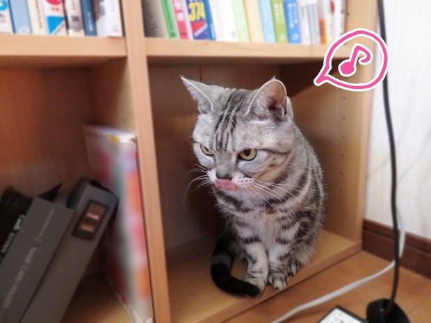 tomdoro_0107-9