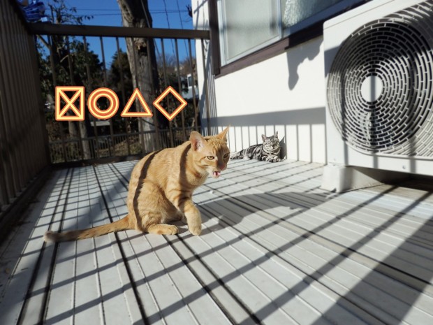 tomdoro_0109-4